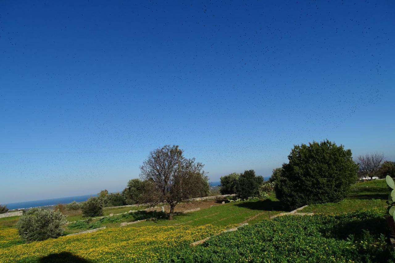Il Fico D'India Dell'Antico Orto Villa Ostuni Ngoại thất bức ảnh