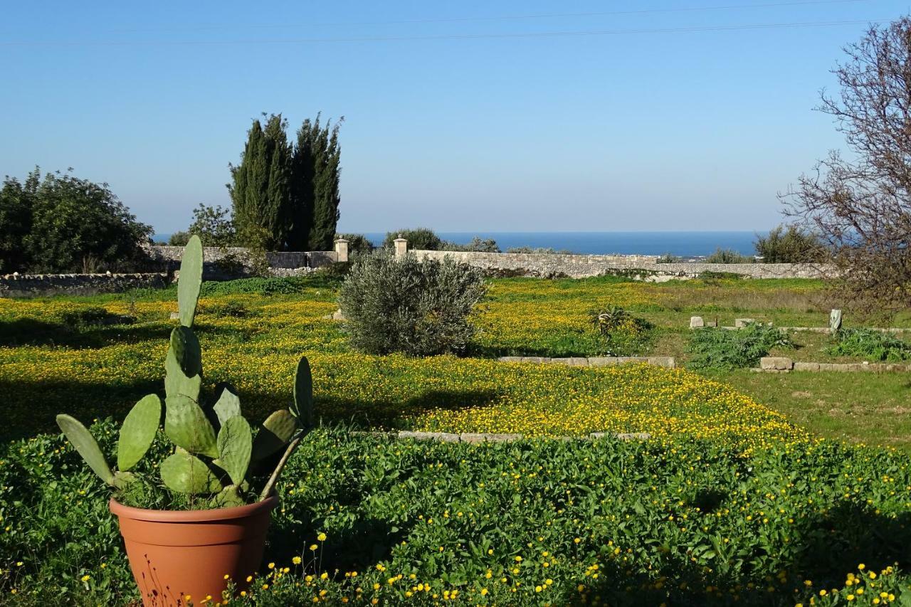 Il Fico D'India Dell'Antico Orto Villa Ostuni Ngoại thất bức ảnh