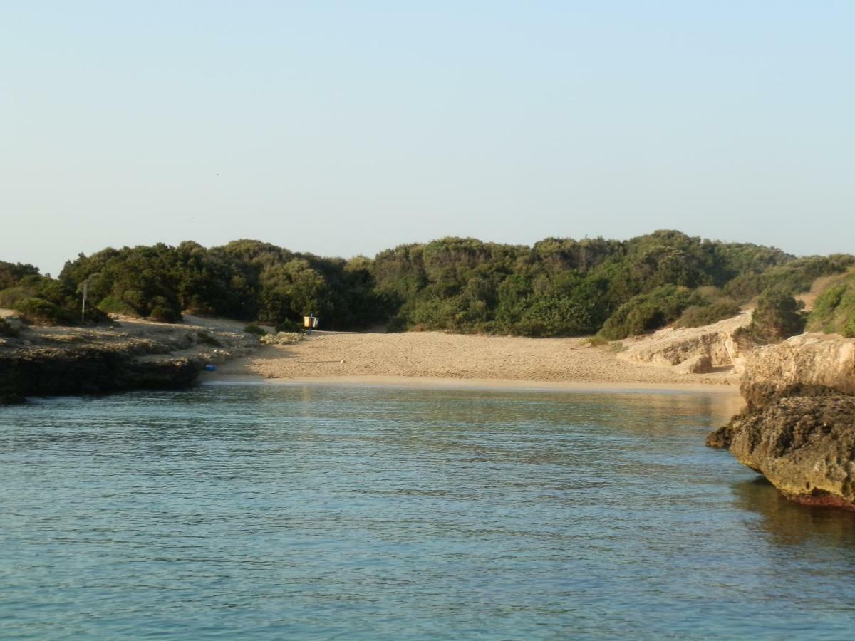 Il Fico D'India Dell'Antico Orto Villa Ostuni Ngoại thất bức ảnh