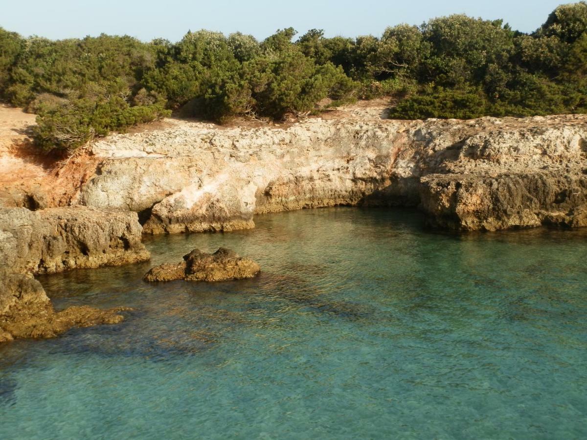 Il Fico D'India Dell'Antico Orto Villa Ostuni Ngoại thất bức ảnh