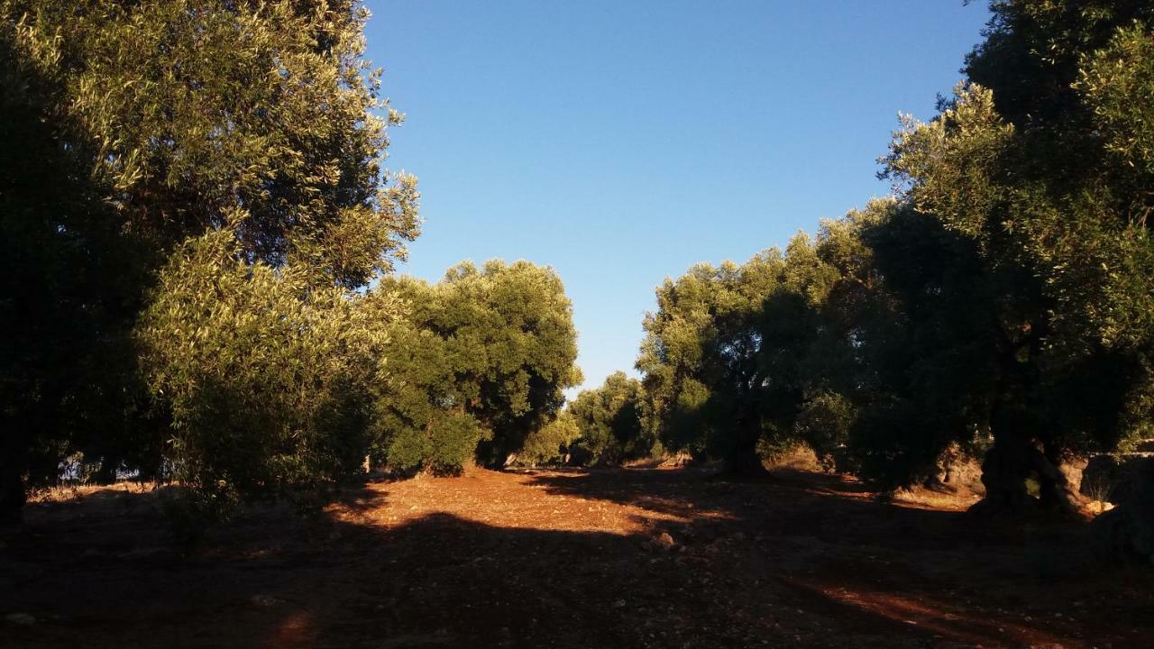 Il Fico D'India Dell'Antico Orto Villa Ostuni Ngoại thất bức ảnh