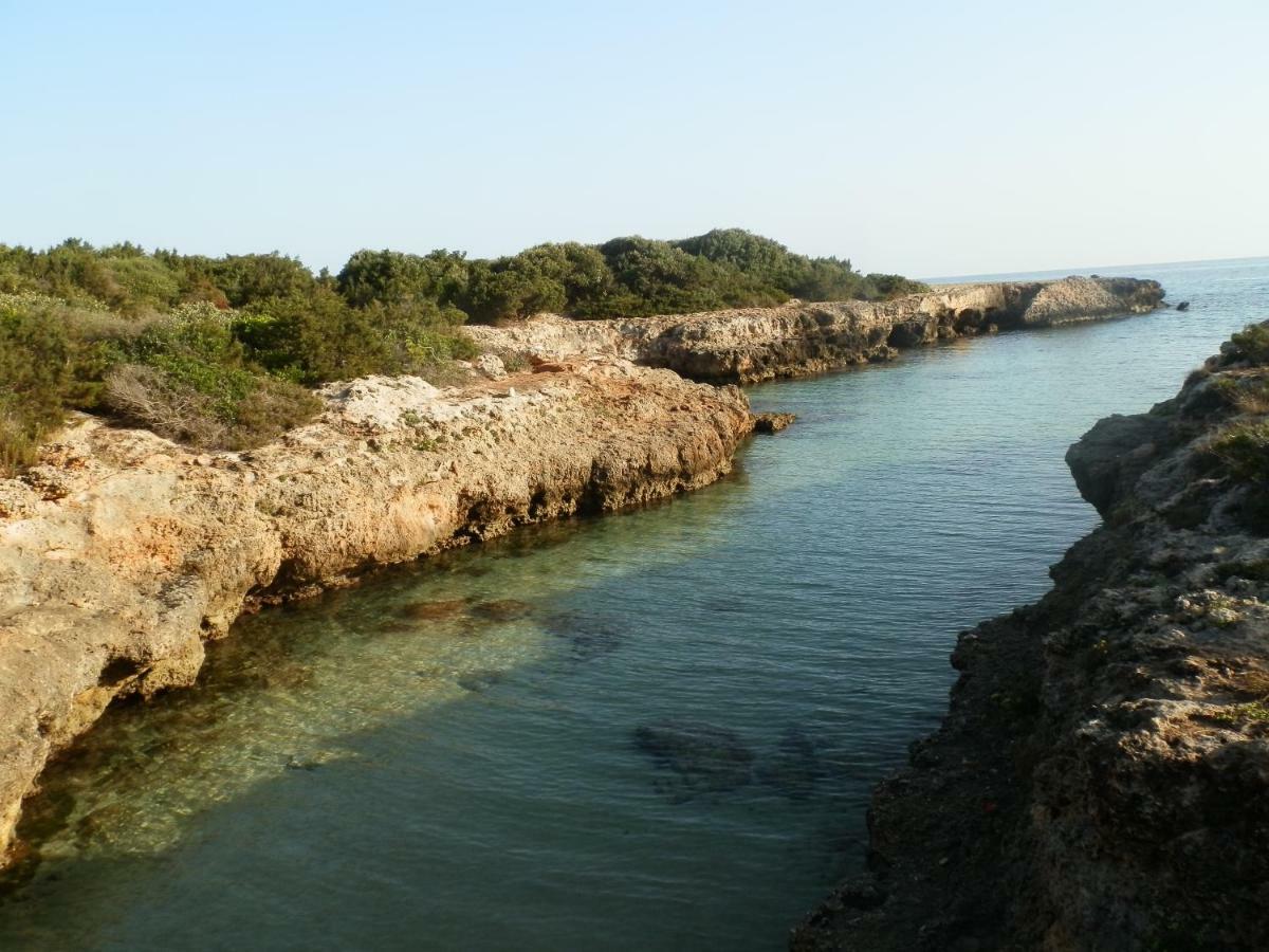 Il Fico D'India Dell'Antico Orto Villa Ostuni Ngoại thất bức ảnh